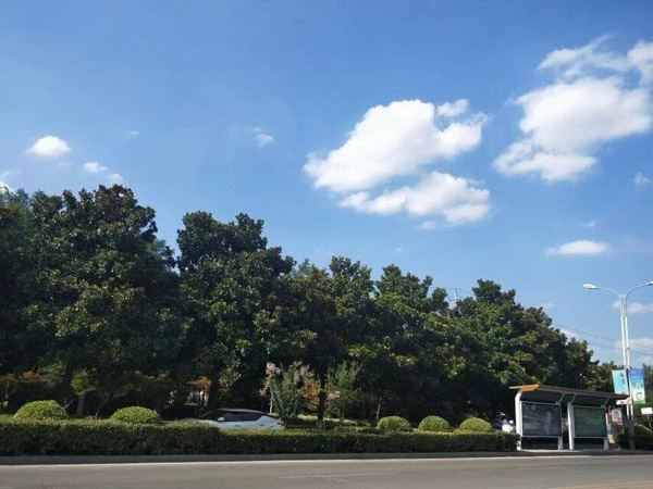 黑料正能量