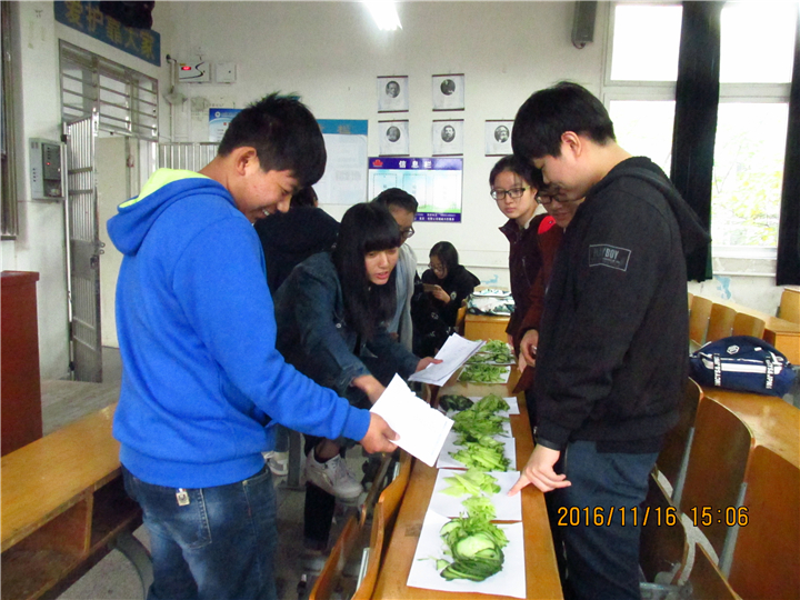 黑料正能量